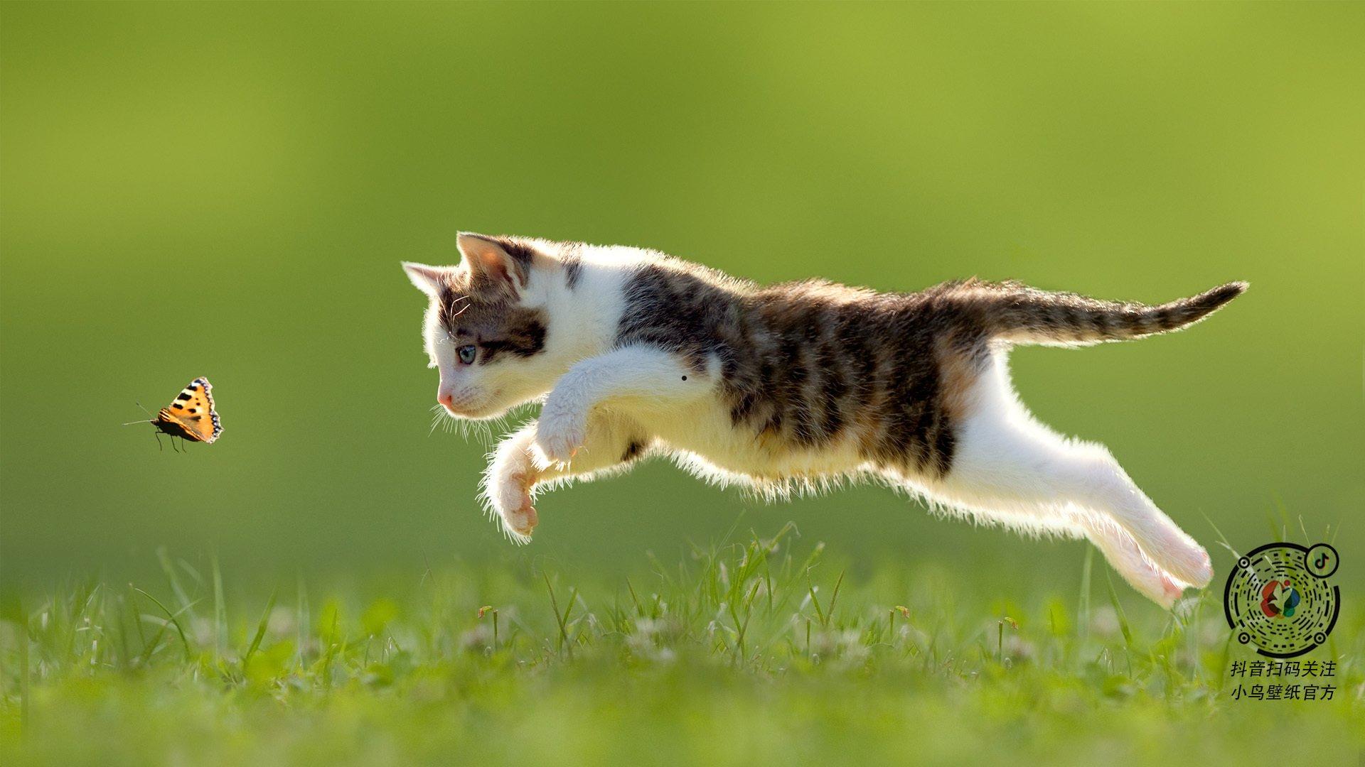 韩剧电影排行榜前十名